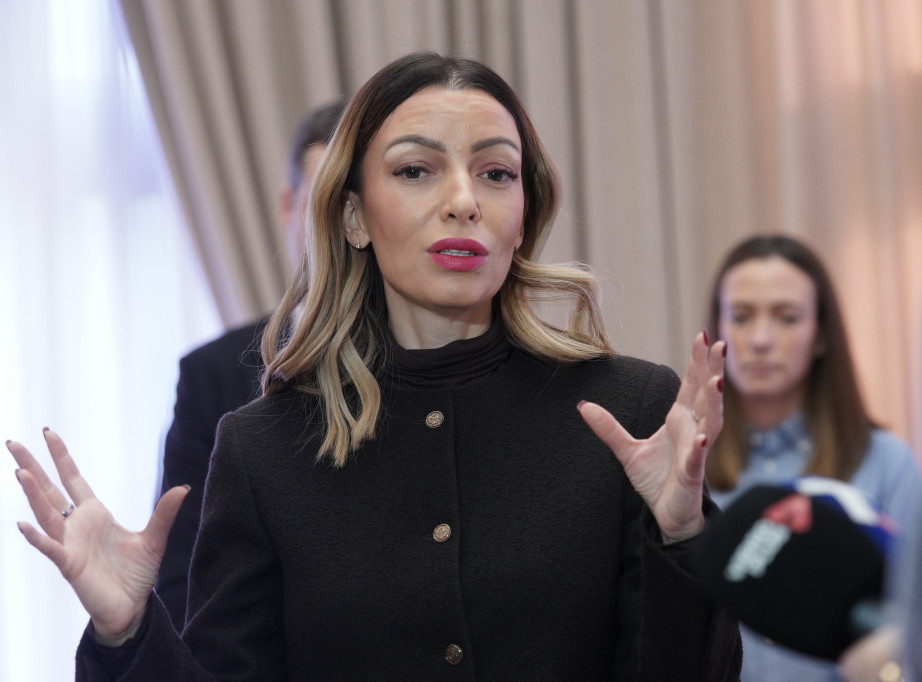 Mesarović: Trenutno bez struje nešto više od 22.000 potrošača u Srbiji