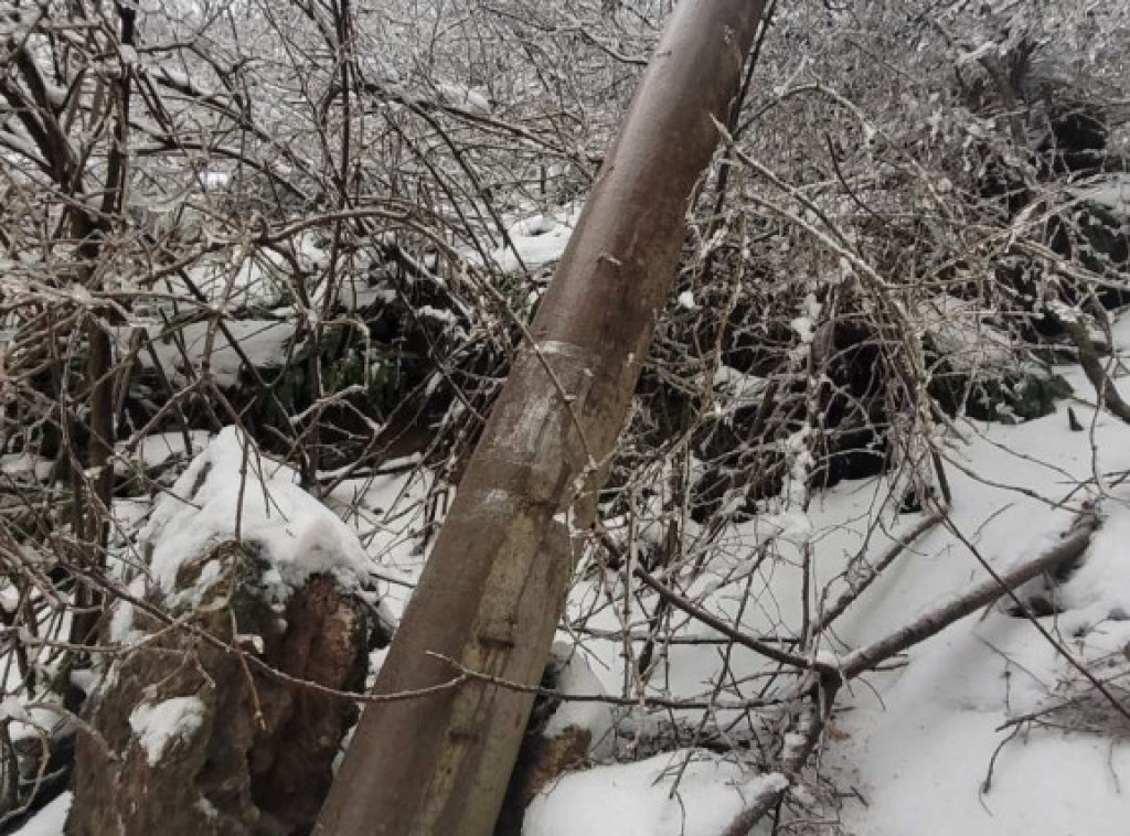 Direktor EDS Loznica: Bez struje zbog nemogućnosti seče stabala na privatnim imanjima