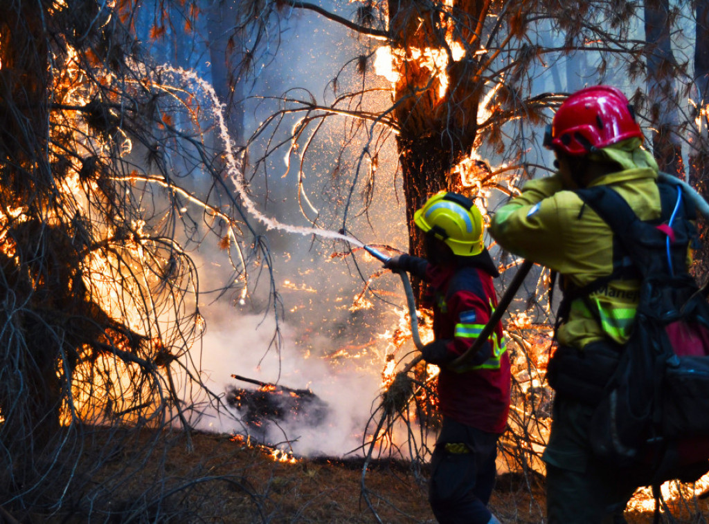 Šumski požari zahvatili 12.000 hektara površine u argentinskoj oblasti Patagonija