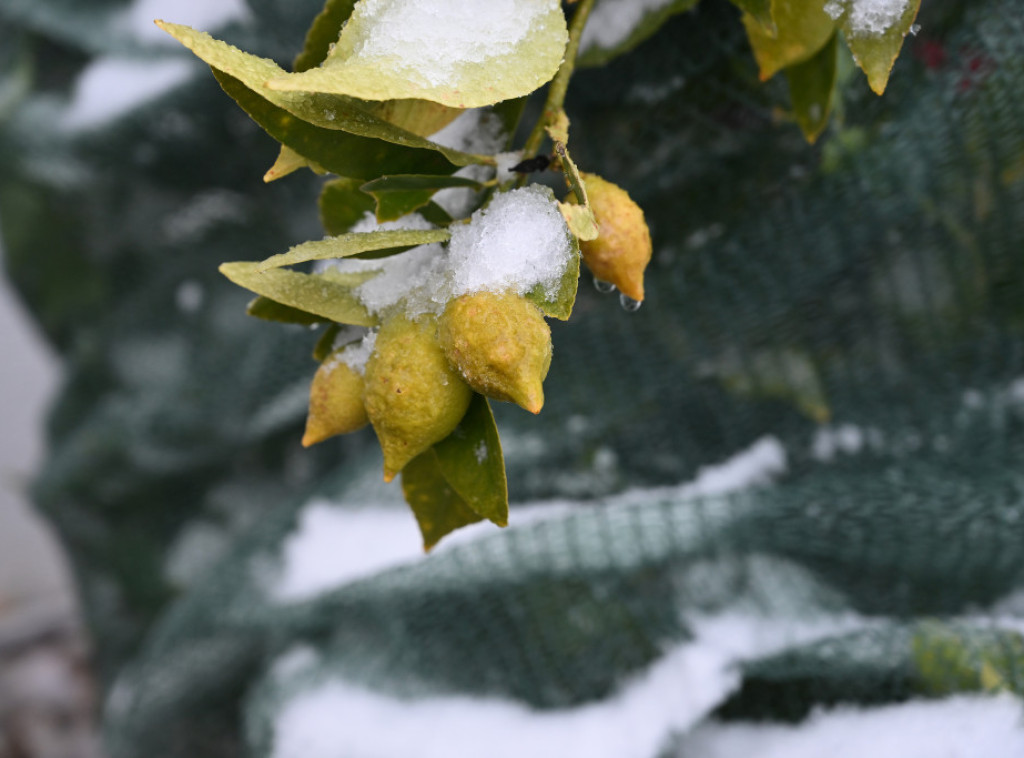 Aleksandar Mitrović: U Ivanjici 90 odsto stanovništva ima struju, bez struje još 1.500 domaćinstava