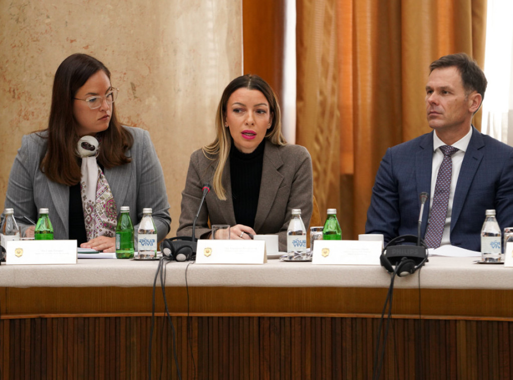 Adrijana Mesarović: Struju nema 0,35 odsto potrošača, dobiće svi do kraja dana ili sutra