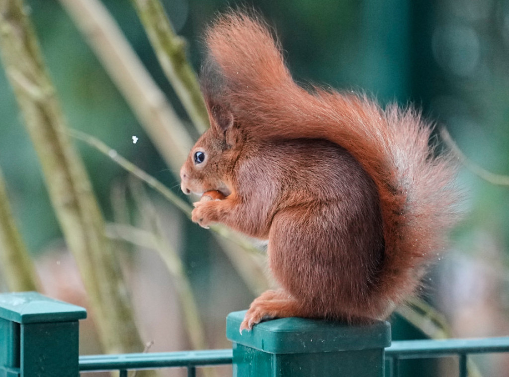 U Srbiji danas ledeni dan - sunčano, vetrovito i hladno