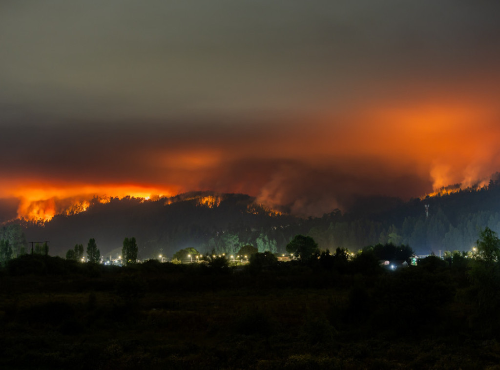 Broj poginulih u šumskim požarima u Čileu povećan na 19