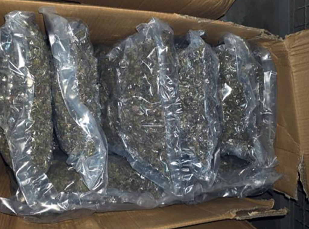 Dačić: Zaplena 100 kilograma marihuane, uhapšen jedan osumnjičeni