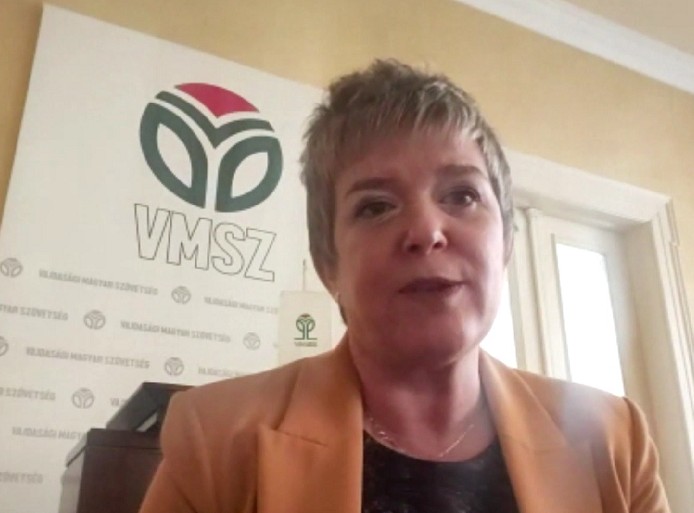 Elvira Kovač: Poseta delegacije Evropskog parlamenta prošla je očekivano, zanimalo ih da li je moguć dijalog