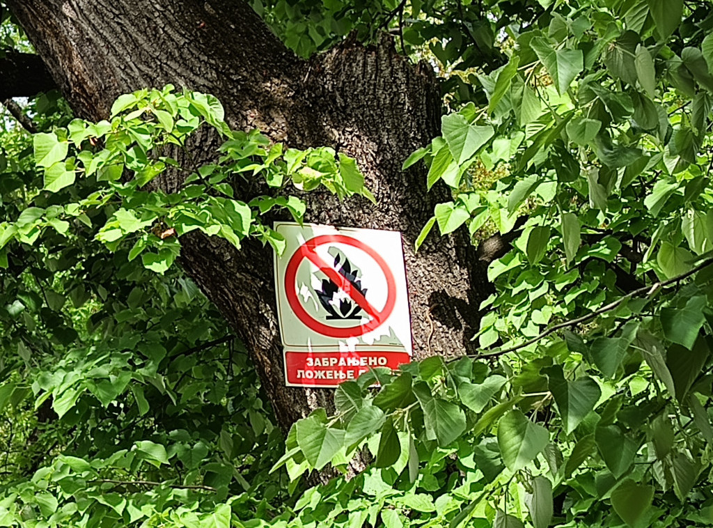 Šume pokrivaju 39,01 odsto teritorije Srbije, među najvažnijim prirodnim resursima