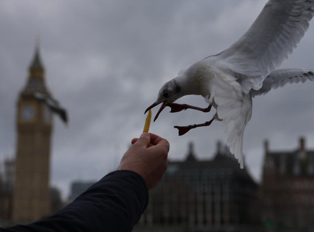 Velika Britanija: Najveći broj ljudi koji žive u dubokom siromaštvu u poslednjih 30 godina