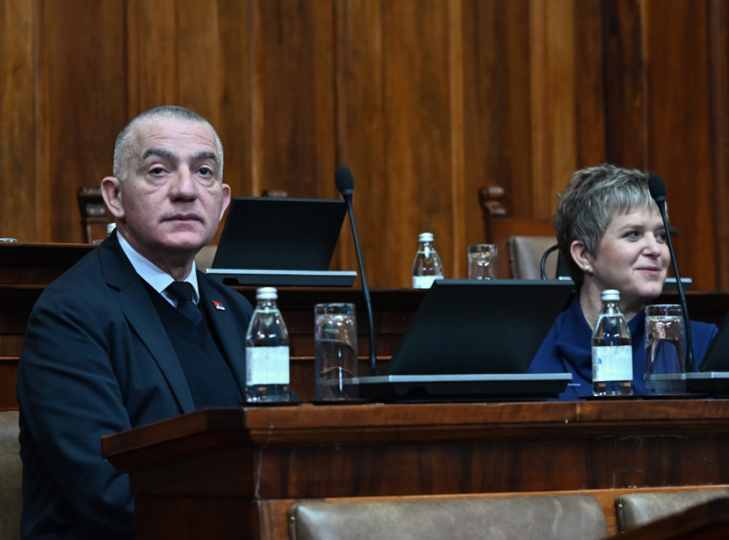 Nenad Vujić: Nije omogućeno amandmanima da ministar daje naredbe ili instrukcije