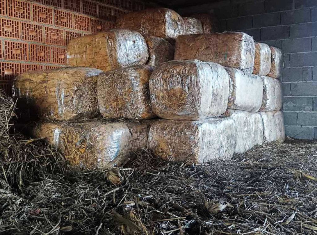 Uhapšen osumnjičeni za nedozvoljen promet duvana, oštetio budžet za više od 27 miliona dinara