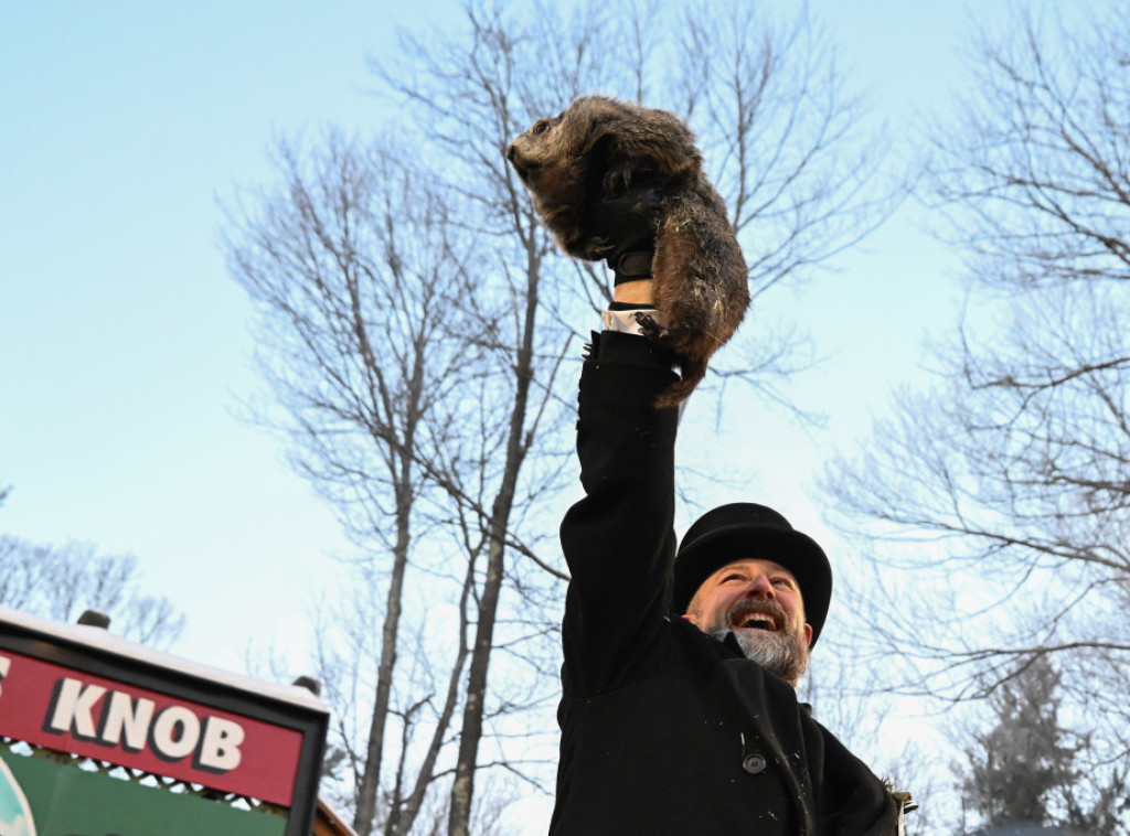 Kanadski mrmoti podeljeni u prognozi, polovina najavljuje kraj zime, drugi nastavak