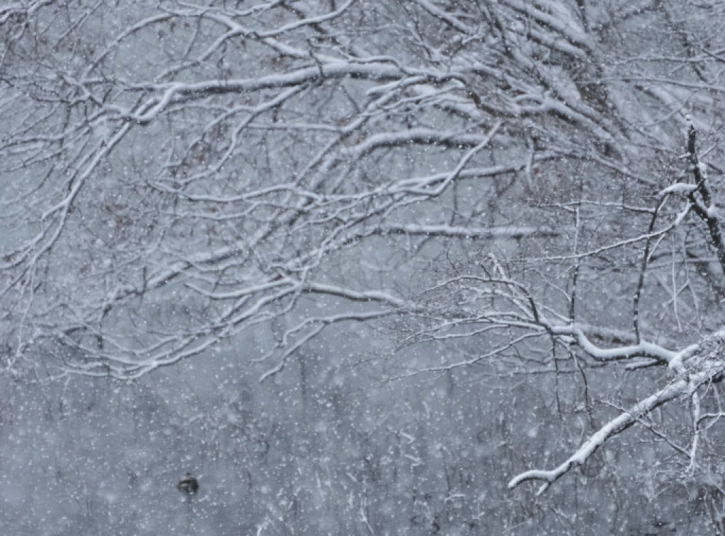 Broj žrtava zimske oluje koja je pogodila Japan porastao na 30