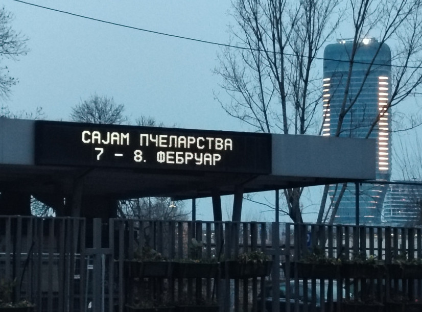 Na Beogradskom sajmu danas i sutra Državni pčelarski sajam, otvara ga ministar Glamočić