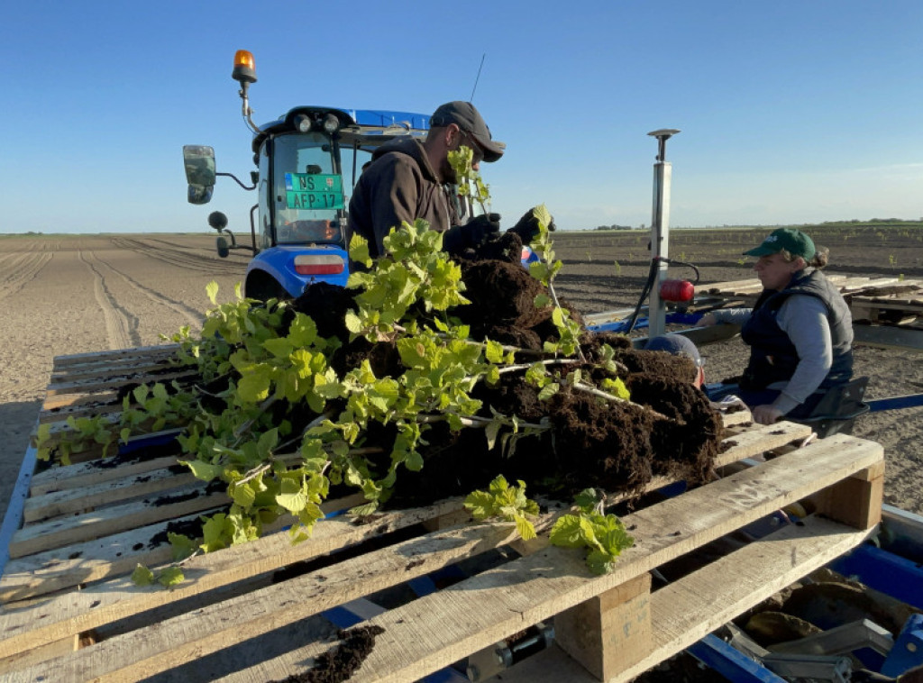 Treesury proglasio drugu javnu ponudu uspešnom i time širi investicionu zajednicu na tri kontinenta
