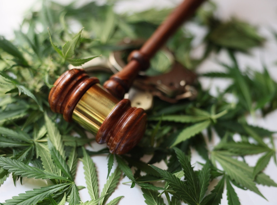 Severna Makedonija: Zaplenjena 21 tona marihuane od kompanije bliske SDSM i Zoranu Zaevu