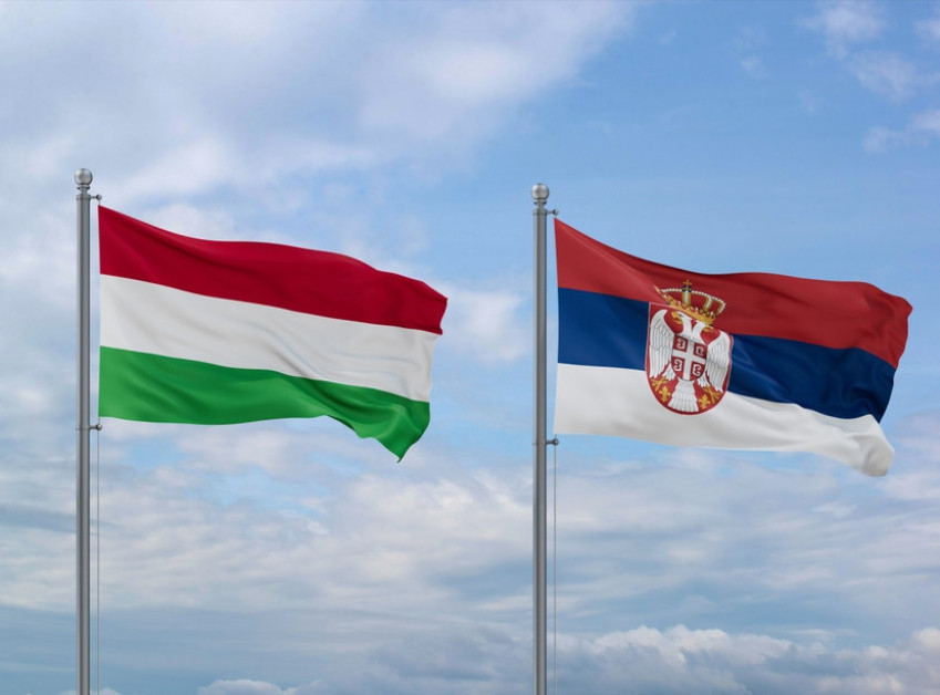 Predsednica Samouprave Srba u Mađarskoj: Lista kandidata nije postavljena u roku