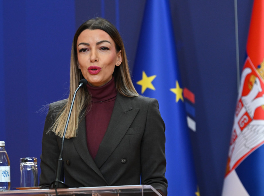 Mesarovic, Turkish ministers discuss advancement of economic ties, new investments