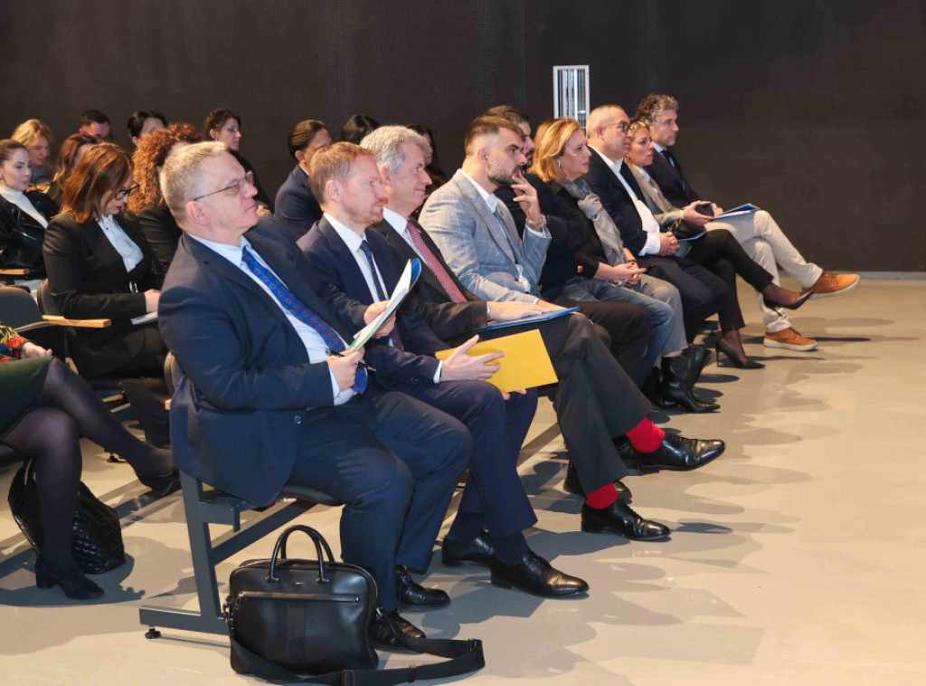 Mićin: Srbija ima snažan antidiskriminacioni pravni okvir