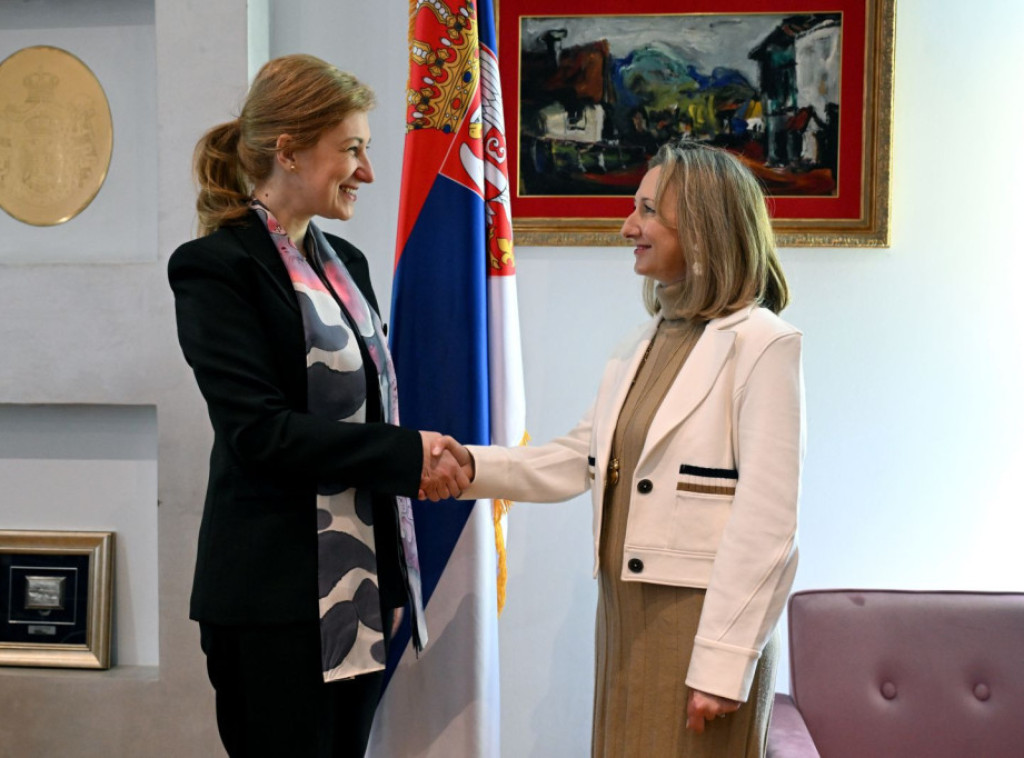 Nevena Jovanović razgovarala sa Graham o daljem razvoju saradnje u oblasti migracione politike