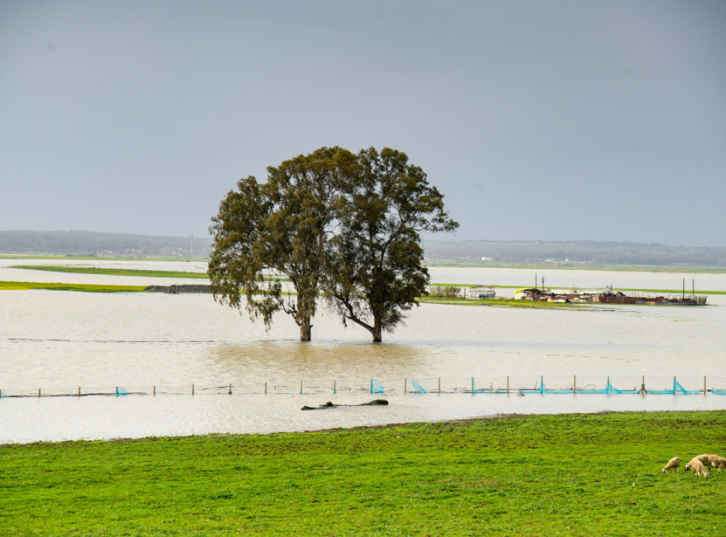 Novi Zeland: Jedna osoba poginula u poplavama, vanredna situacija u dva okruga