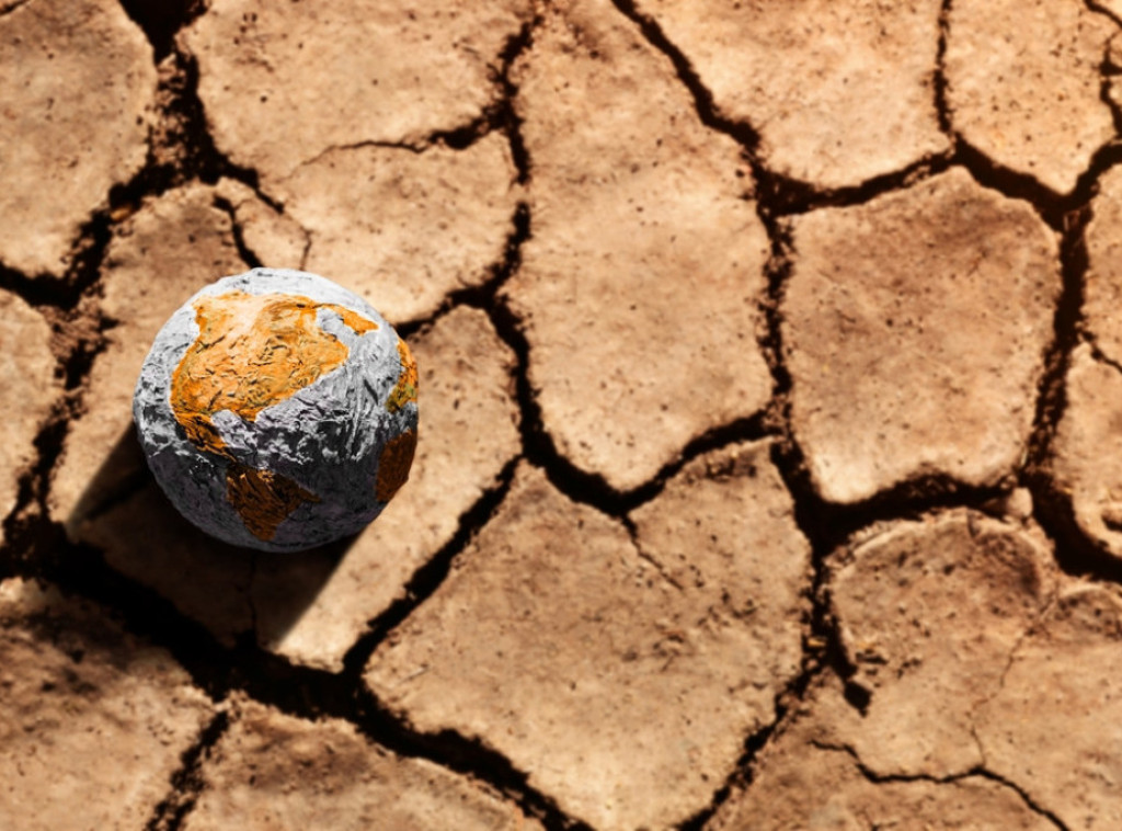 Rekordan broj okupljenih na klimatskom protestu u Stokholmu, oko 50.000 demonstranata