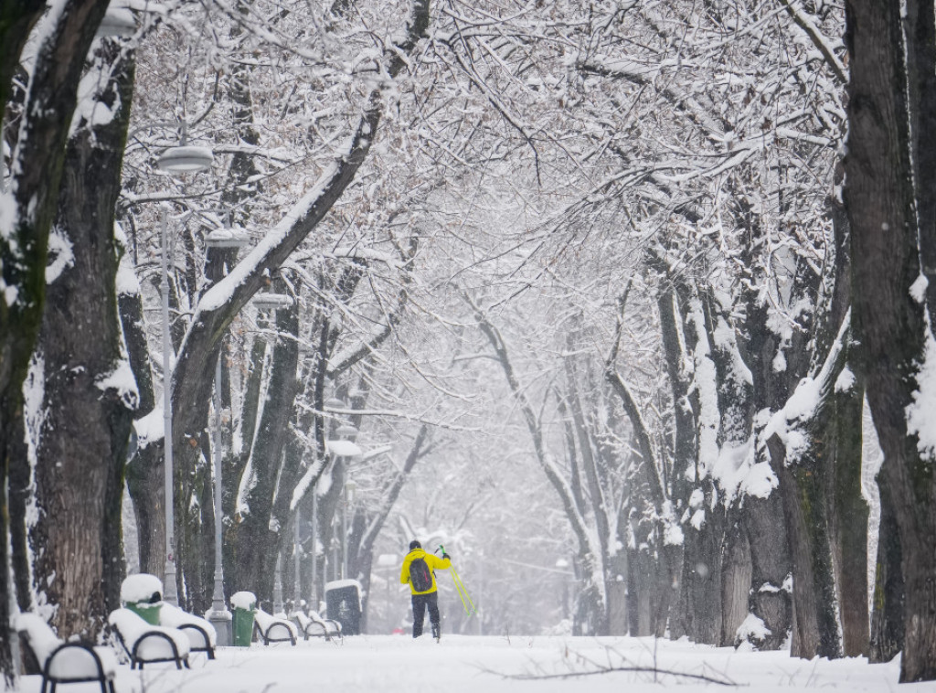 U Rumuniji zbog snežne mećave zatvoreni autoputevi i pruge, otkazani letovi