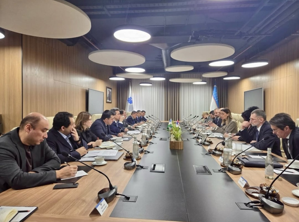 Mesarovic, Shermatov discuss Serbia-Uzbekistan cooperation in industry, innovation