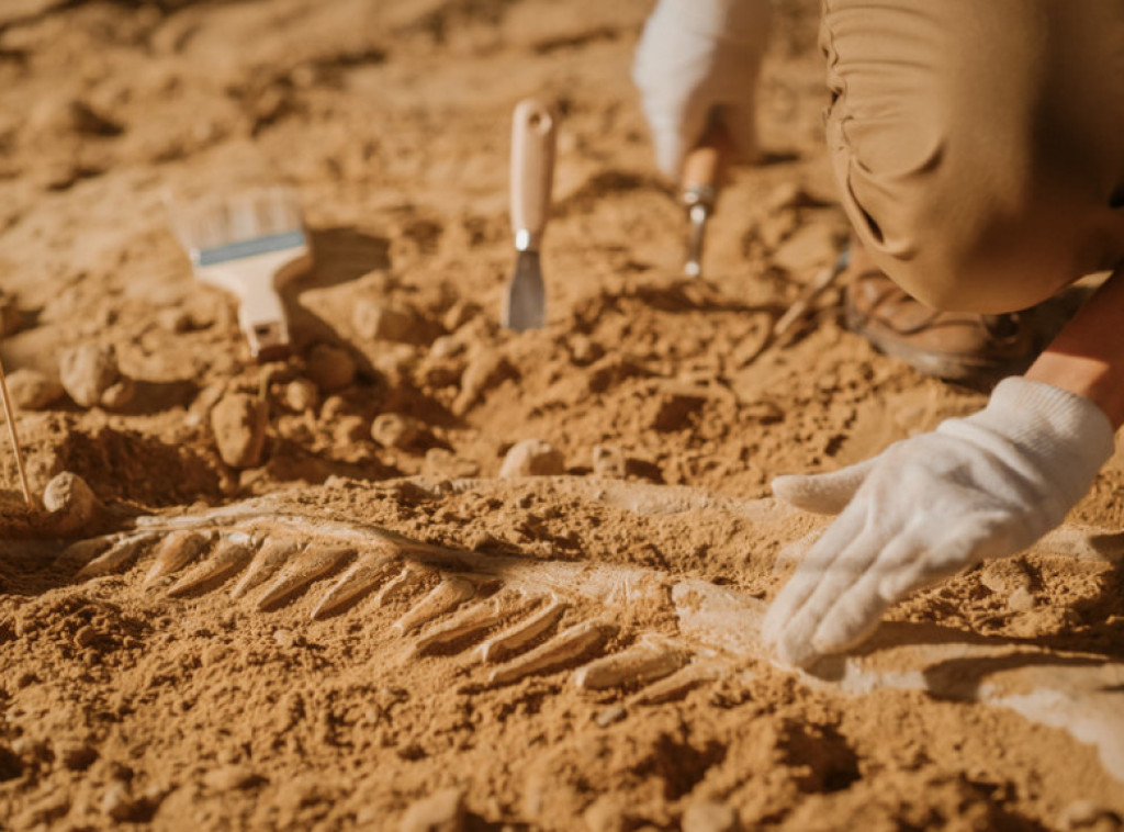 Tim paleontologa u pustinji Sahara otkrio fosil dinosaurusa koji jede ribu