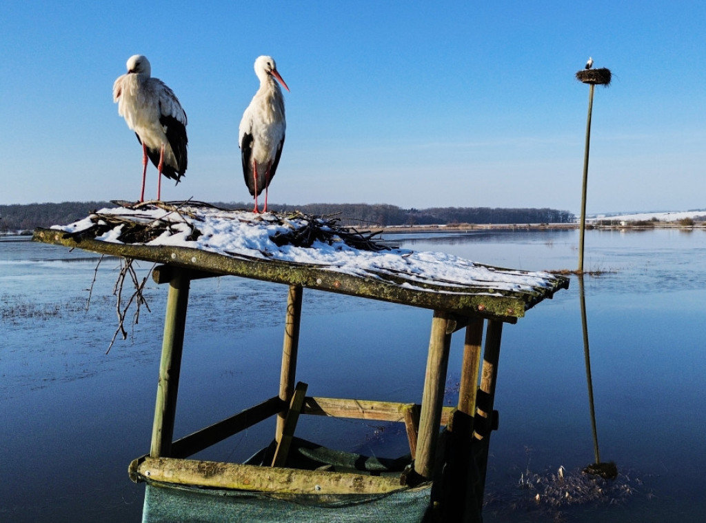 U Nemačkoj za sutra izdato upozorenje na poledicu u većem delu zemlje