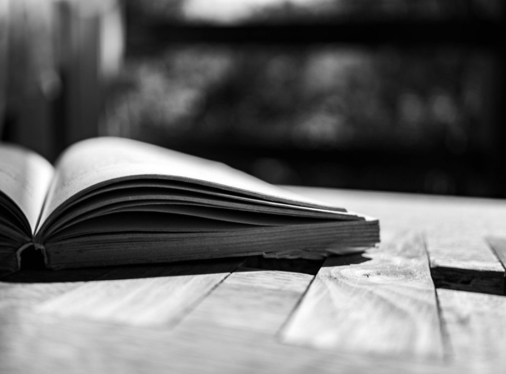 Opština Brod gradi skulpturu pesnika Duška Trifunovića