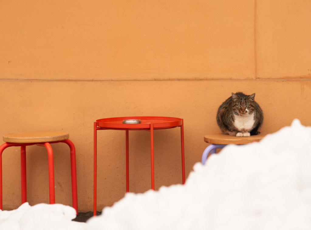 Rumunija: Sneg izazvao haos u 16 okruga, mnogi potrošači bez struje