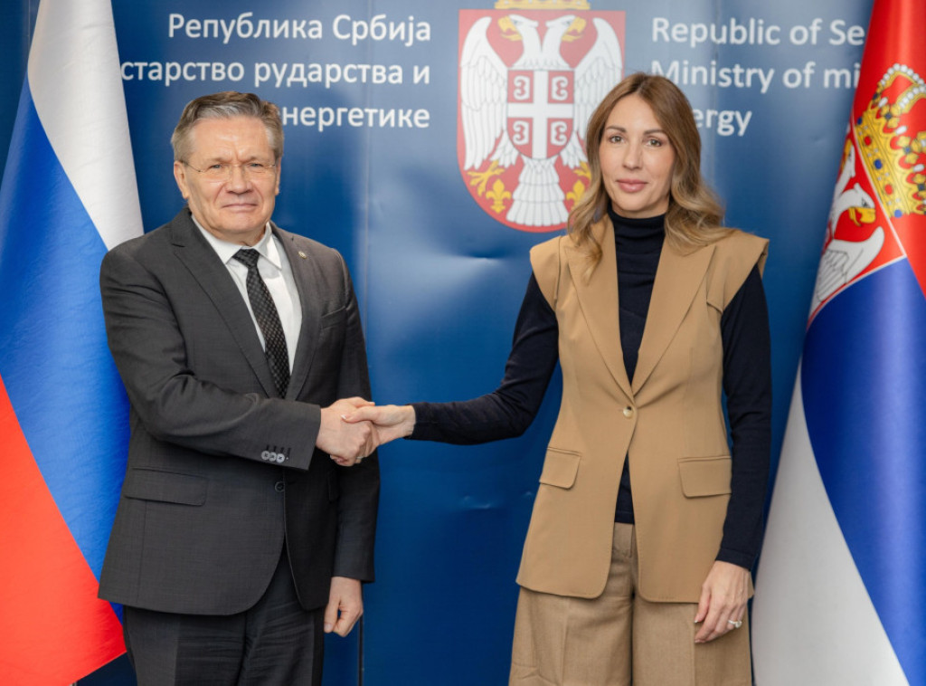 Djedovic Handanovic, Rosatom director general discuss cooperation in nuclear power sector