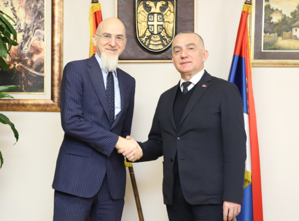Vujic, Italian ambassador discuss Serbia's EU path