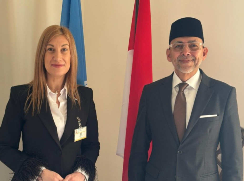 Nevena Jovanović razgovarala sa predsednikom Saveta za ljudska prava Ujedinjenih nacija o daljoj saradnji