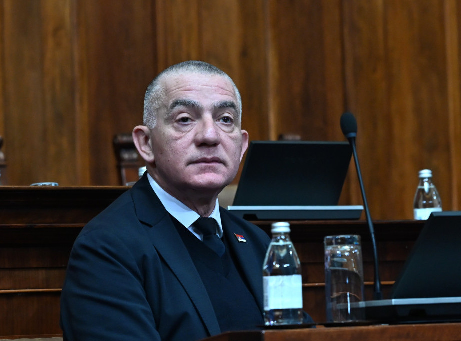 Nenad Vujić: Mišljenje Venecijanske komisije savetodavno, inicirali smo ga i poštovaćemo ga