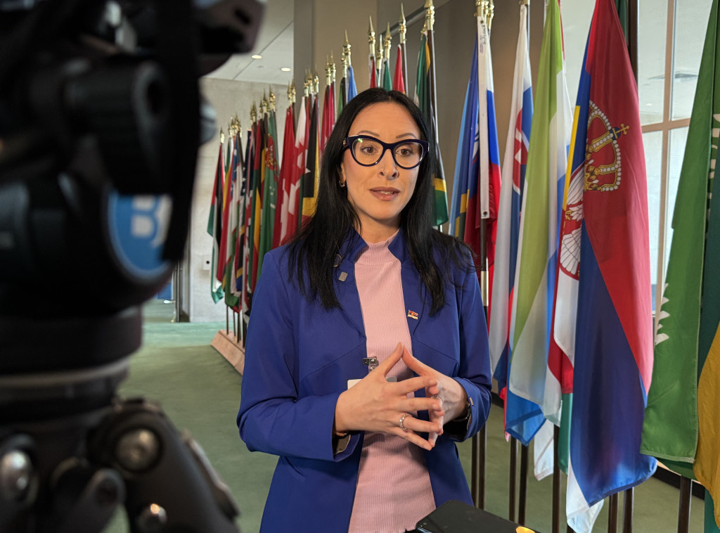 Jelena Žarić Kovačević: Srbija će izraditi strateški dokument za zaštitu dece od nasilja