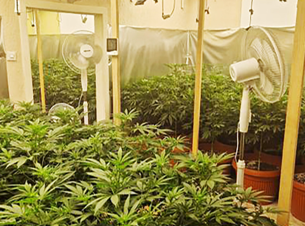 U Subotici uhapšene dve osobe zbog proizvodnje i prometa opojnih droga