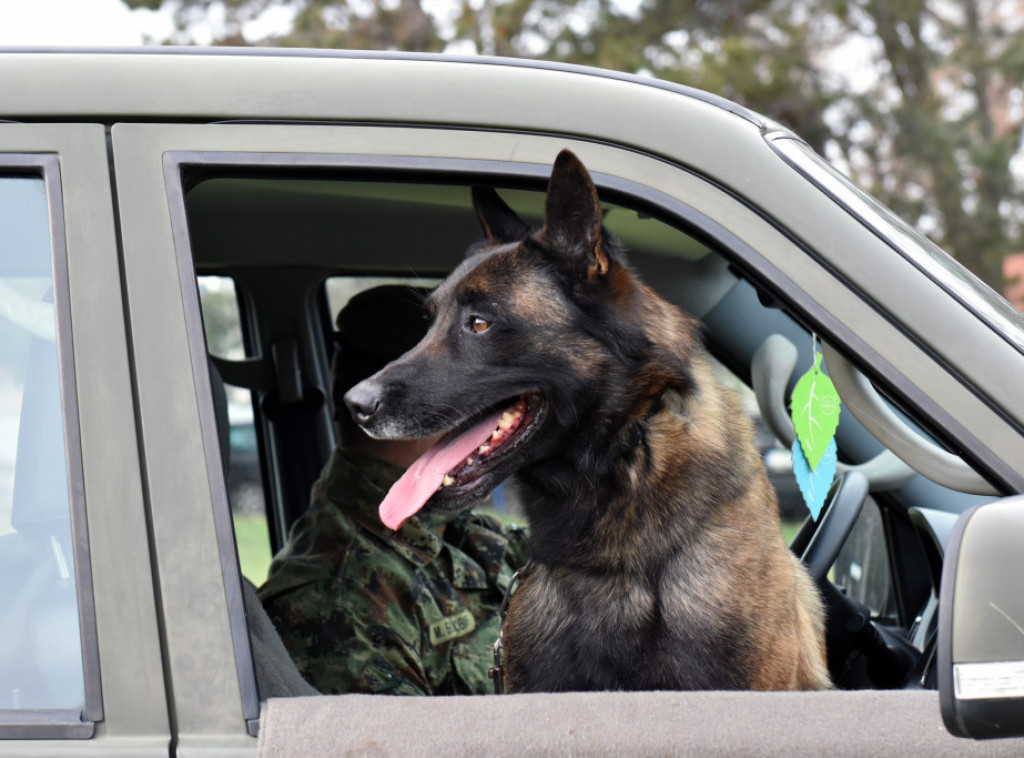 U Nišu u toku obuka pasa za službu u jedinicama Vojske Srbije