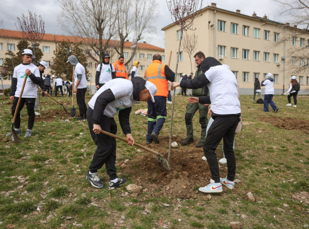 U Boru i Majdanpeku posađeno 2.000 sadnica crnog bagrema povodom  Svetskog dana šuma