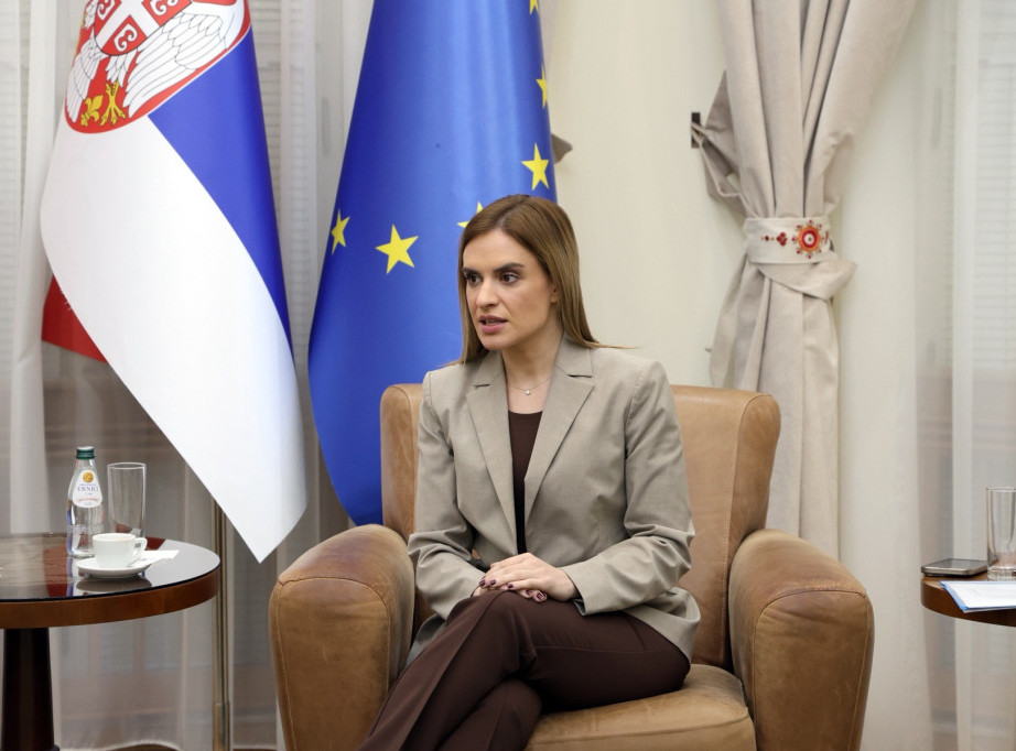 Milica Đurđević Stamenkovski: Usklađujemo potrebe da niko ne ostane bez dečjeg dodatka