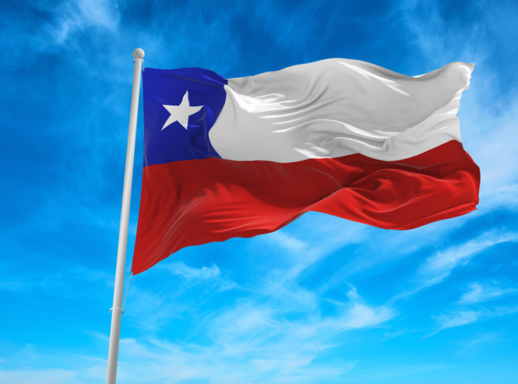 Čile širi zaštićenu zonu mora za oporavak endemske vrste foke