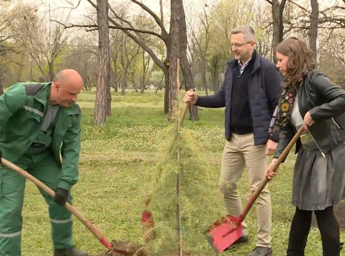 Ekološka inicijativa uoči Beogradskog maratona, deset novih stabala za zeleniji Beograd