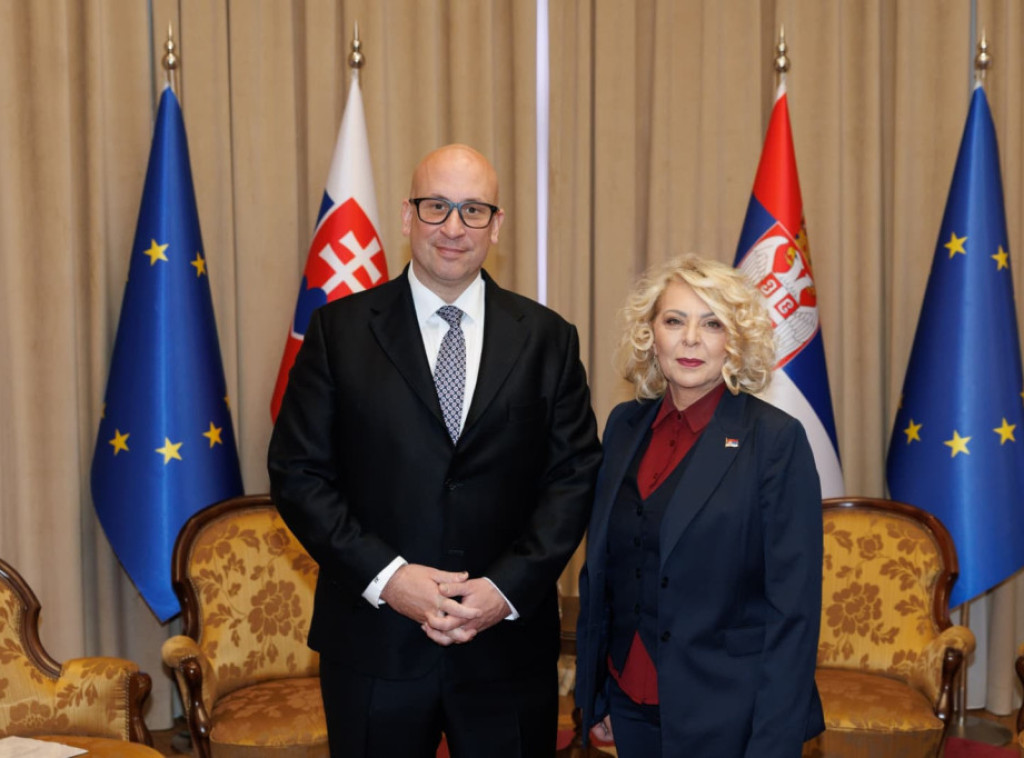 Aleksandra Sofronijević i ministar Slovačke razgovarali su o saobraćajnom povezivanju dve zemlje