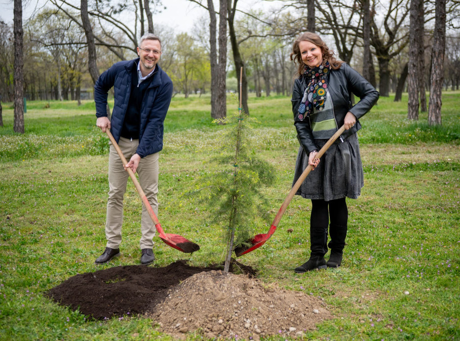 Ekološka inicijativa uoči Beogradskog maratona, deset novih stabala za zeleniji Beograd