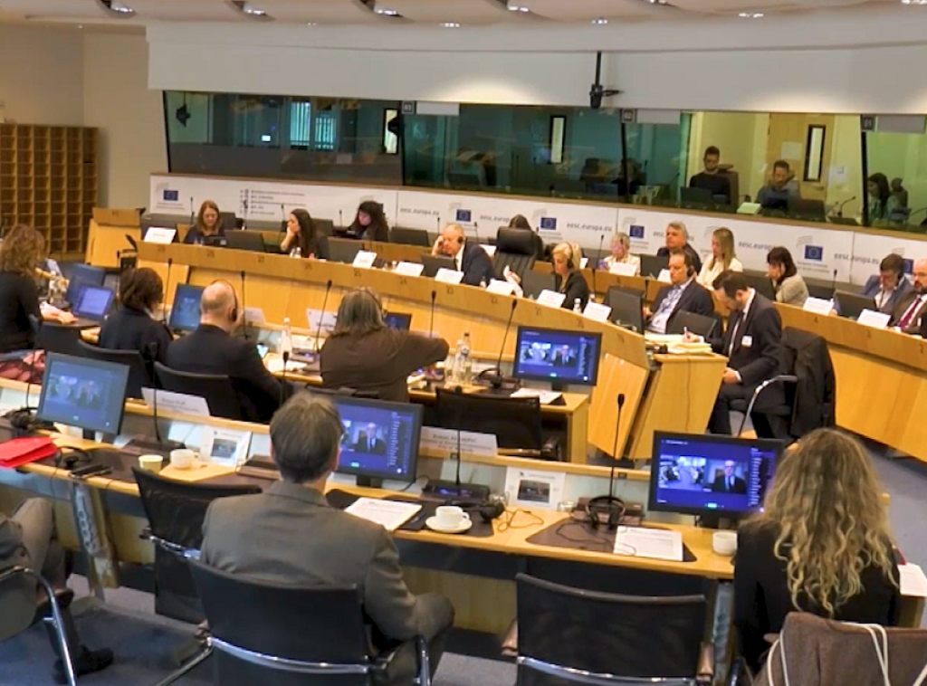 JCC: Srbija pripada EU, ali pristupanje zahteva konkretne rezultate