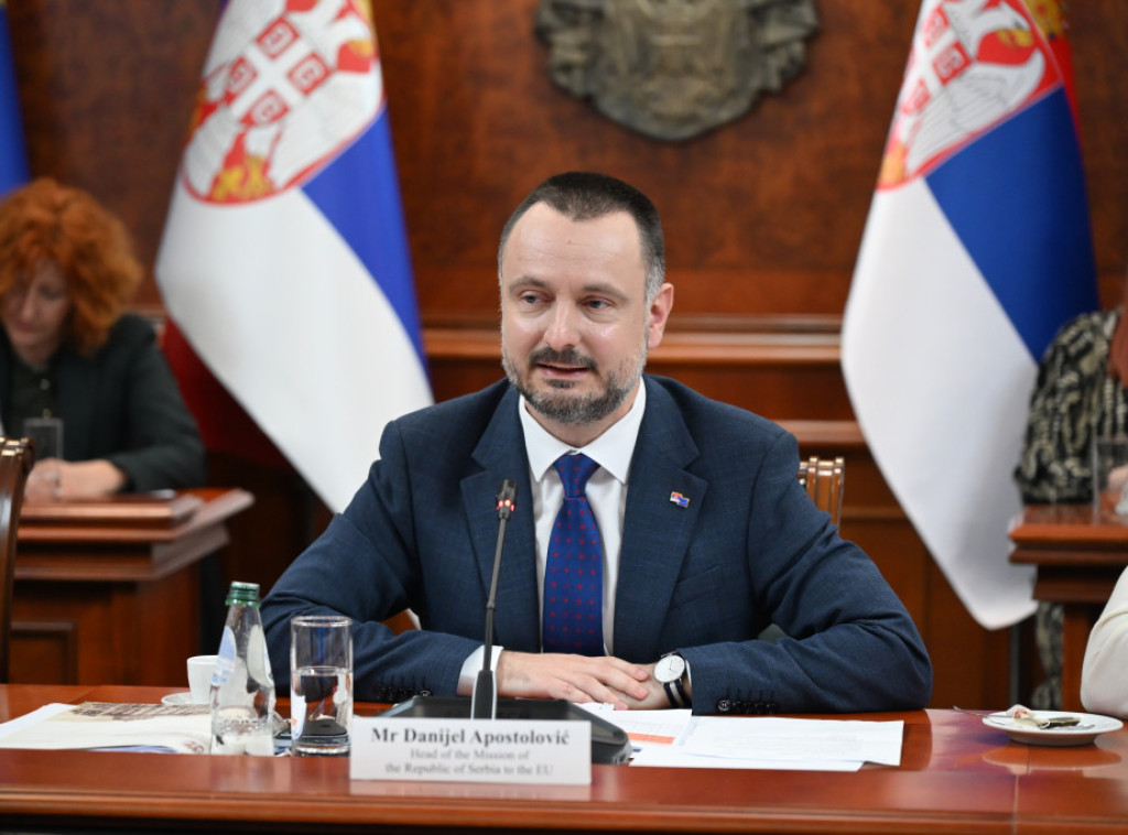 Apostolovic: All actors in EU accession talks must assume responsibility for reforms