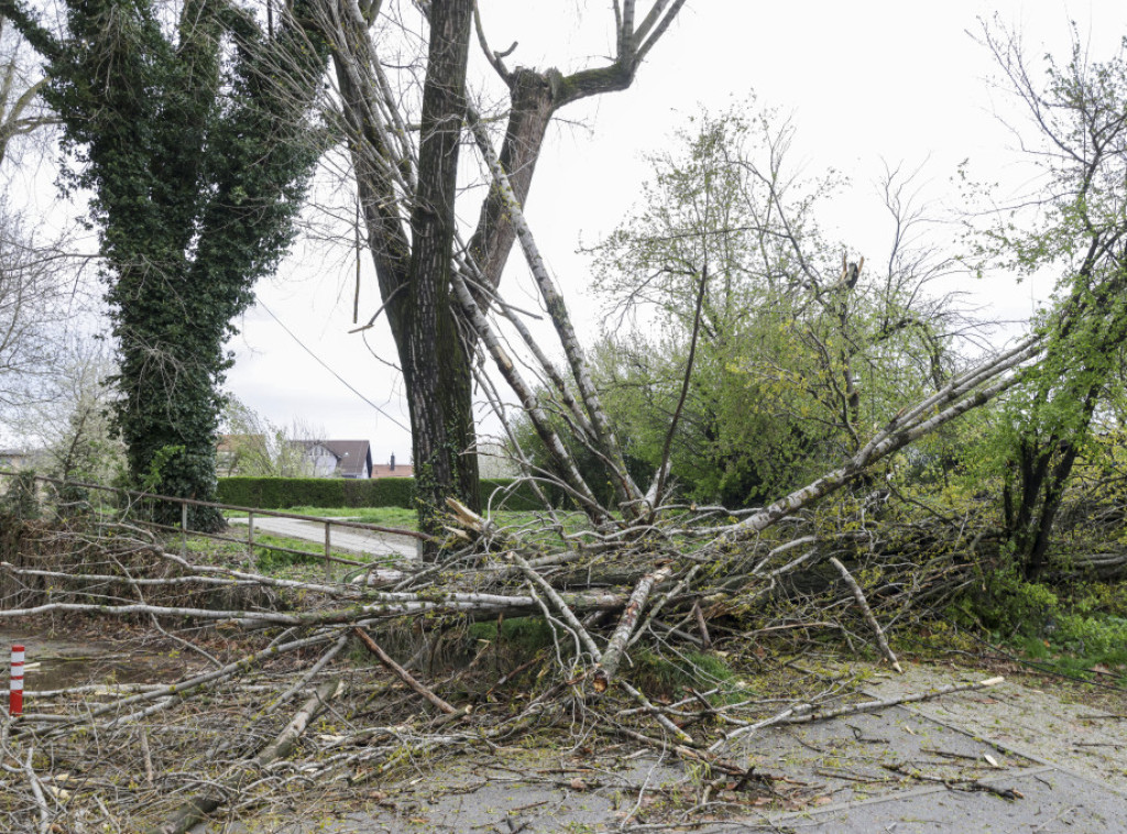 Zagreb: Komora traži hitnu nadoknadu štete poljoprivrednicima nakon nevremena