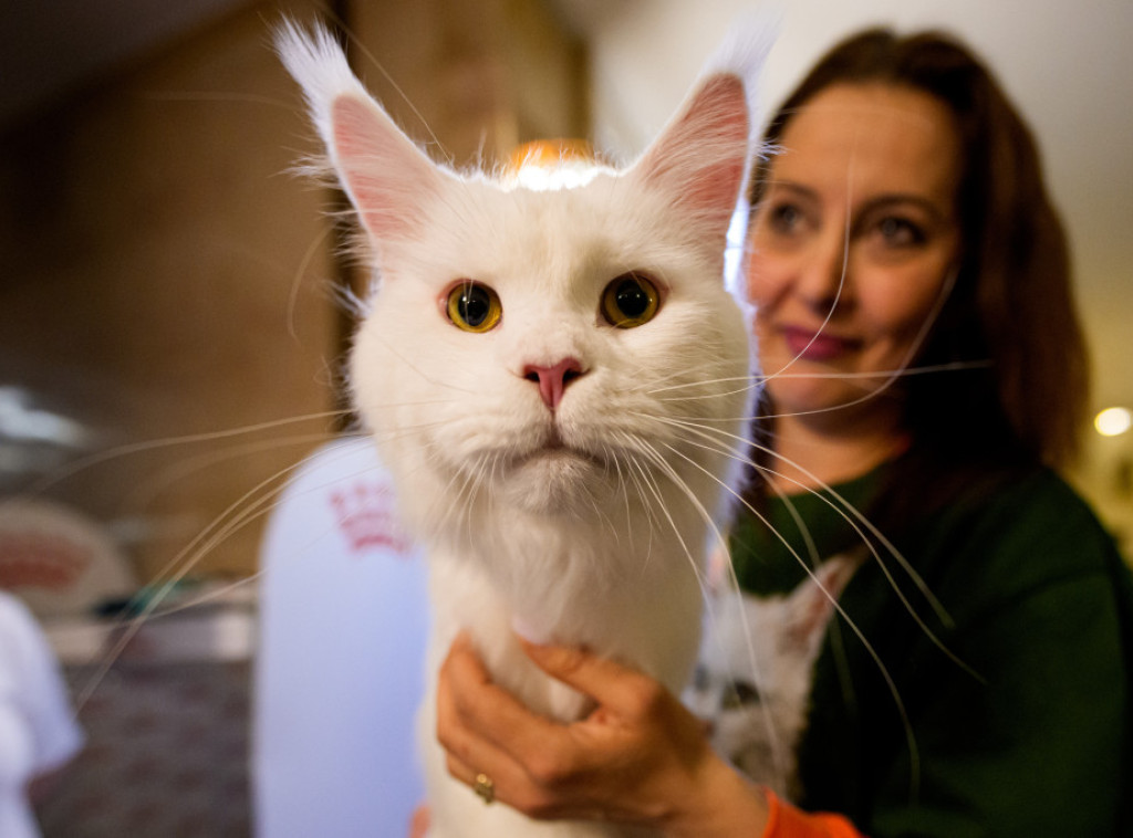 Srbija dobija jednostavnija pravila za putovanje sa kućnim ljubimcima u EU