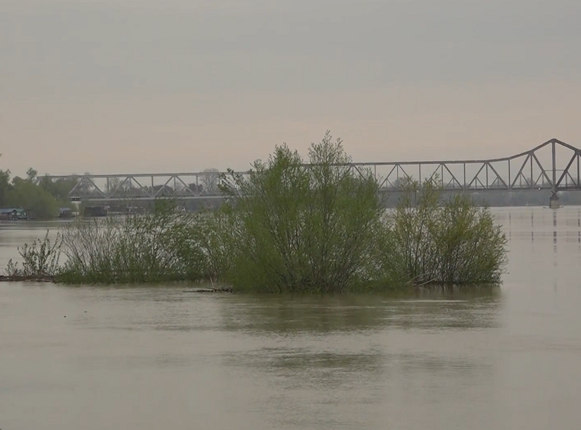 Na reci Savi kod Šapca uvedena je redovna mera odbrane od poplava