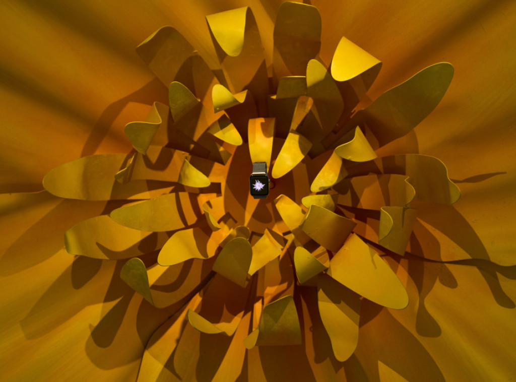 Kompanija Epl proslavila 50 godina uz globalne spektakle i nastupe velikih zvezda