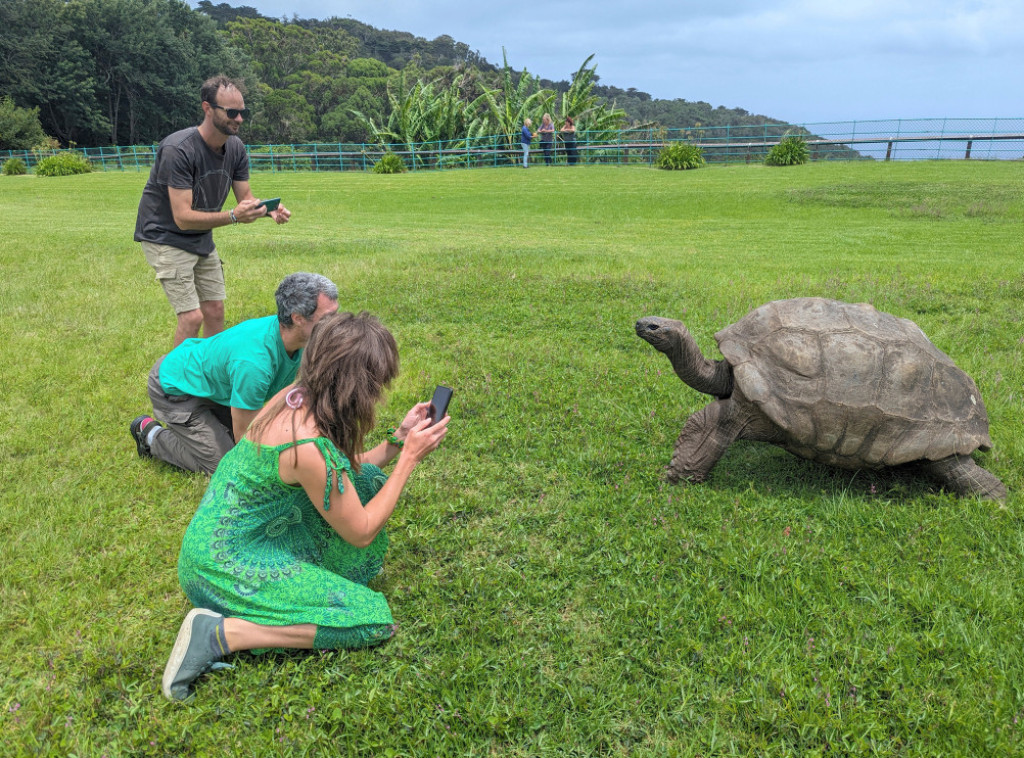 Najstarija živa kornjača lažno proglašena mrtvom zbog kripto prevare